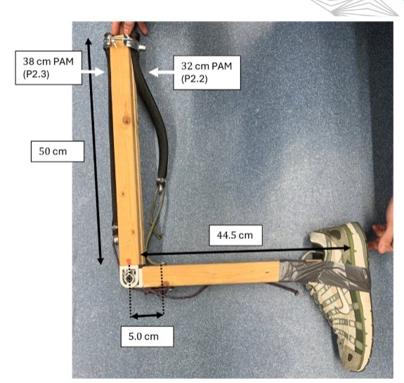 Physico-digital twins for Human-Exosuit Interaction