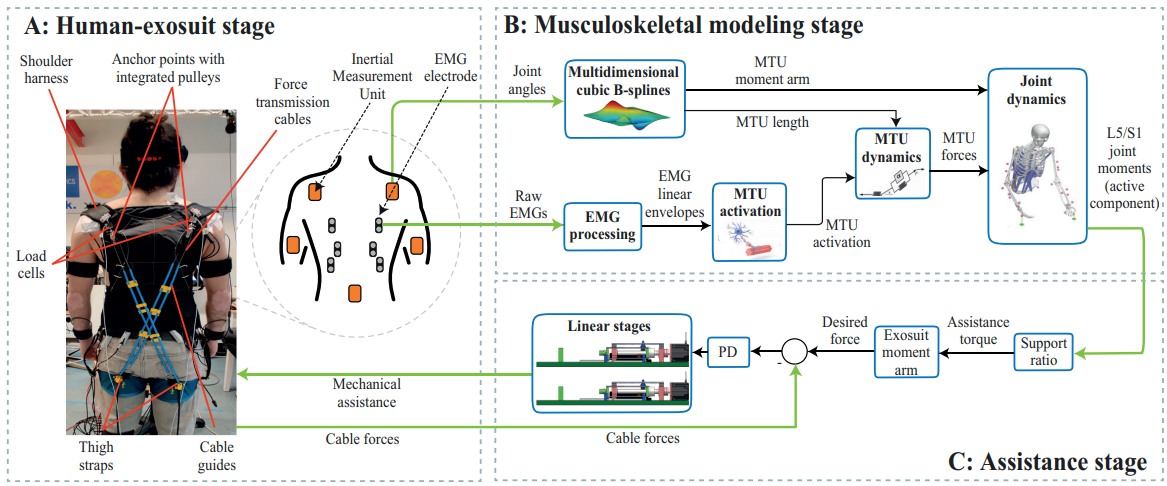 EMG-driven models for back exosuits