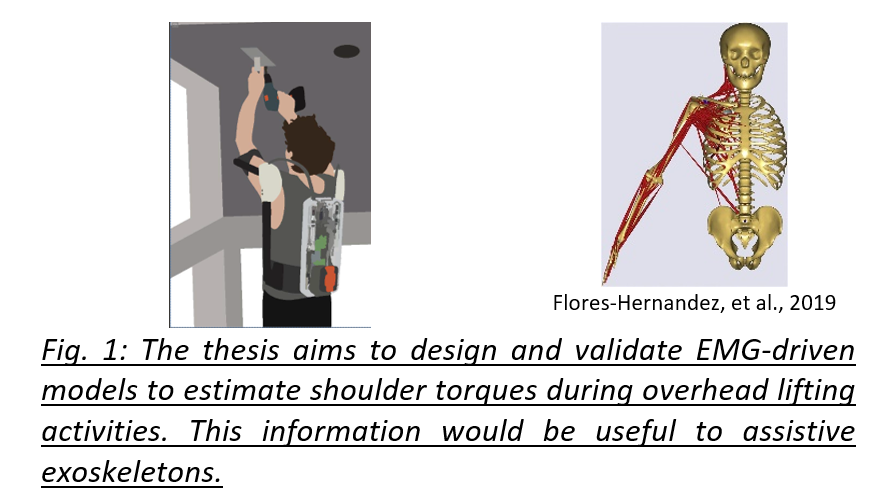 Wearable and personalized shoulder biomechanics for active exoskeletons