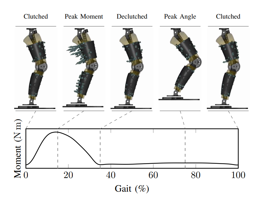 Simulating soft-tissue interfaces for human-exoskeleton interactions