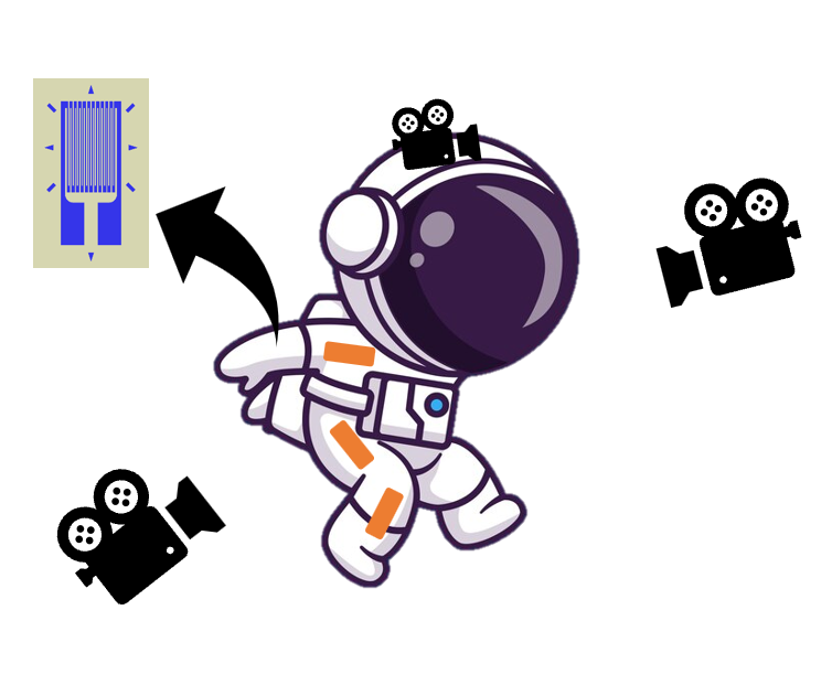 Biomechanical Modelling from Multimodal Sparse Sensors